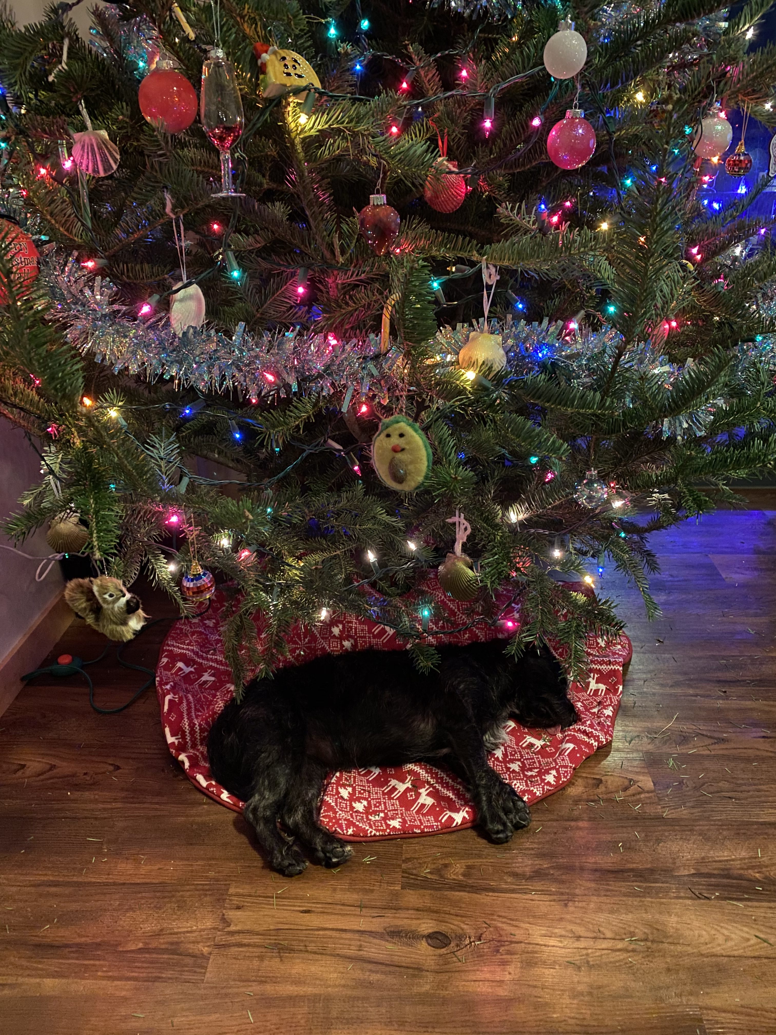 15 Holiday Present Ideas That Don’t Suck