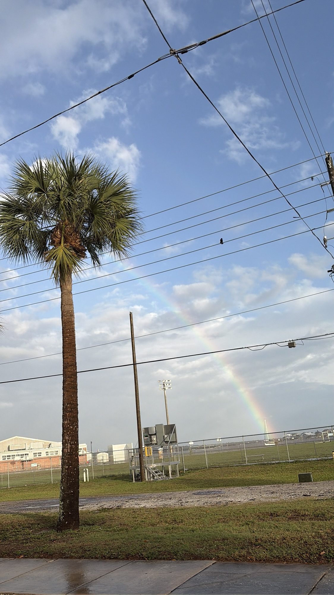 How to Lean Into Spring Energy (Practical Ideas for Every Part of Your Life)